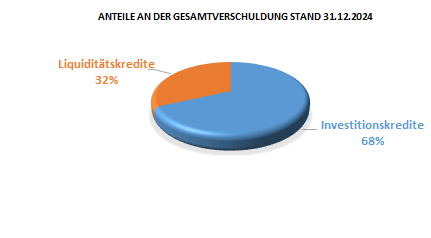 Diagramm Anteile an der Gesamtverschuldung