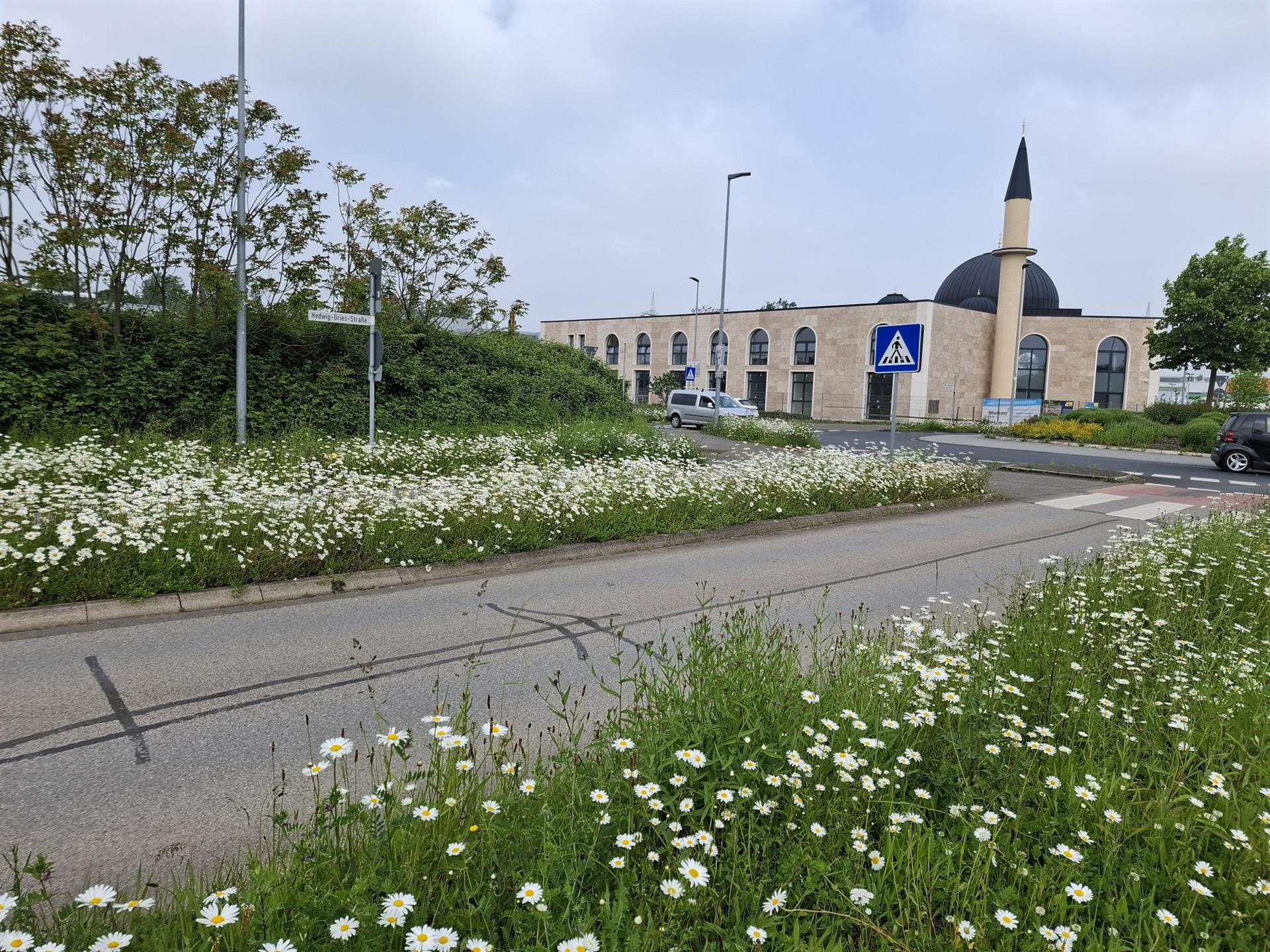 Bergerstraße / Hedwig-Gries Straße, Kreisverkehr